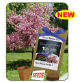 Cherry Blossom Tree Seed Pouch Kit